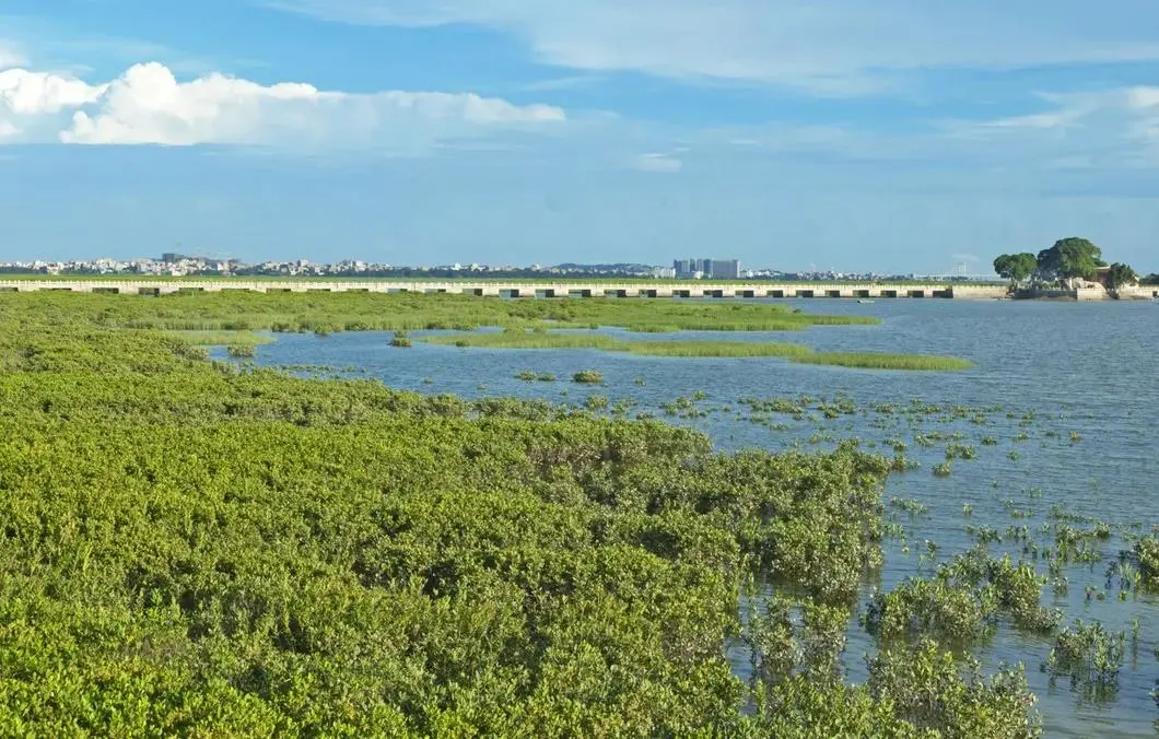 2f41b5022cfb28c7893316e5693d49d8-sz_155739 2f41b5022cfb28c7893316e5693d49d8-sz_155739