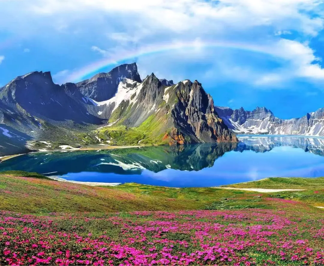 2f7d96716cfe9cb5a9f18f7452c322f2-sz_497128