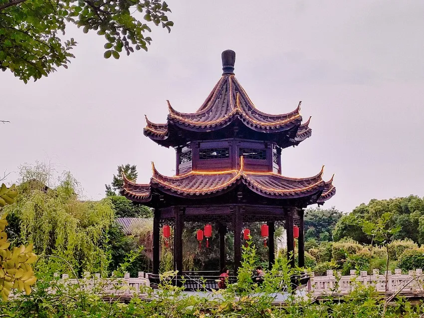 2fb8997477cd691bc7d99ca01b55f36f-sz_1203957