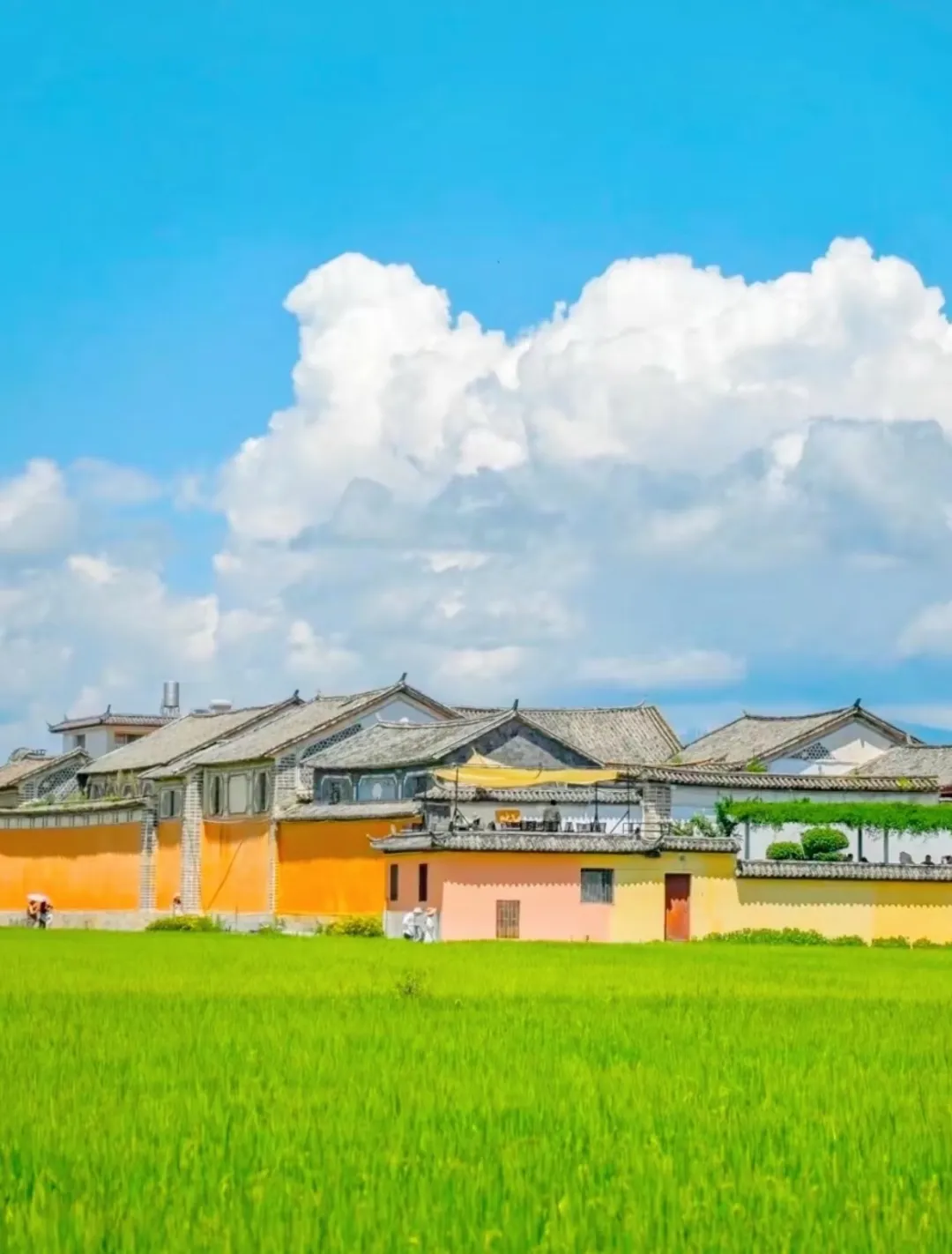 2fc1cdc8219fe0f9314b79535f97f837-sz_255290 2fc1cdc8219fe0f9314b79535f97f837-sz_255290