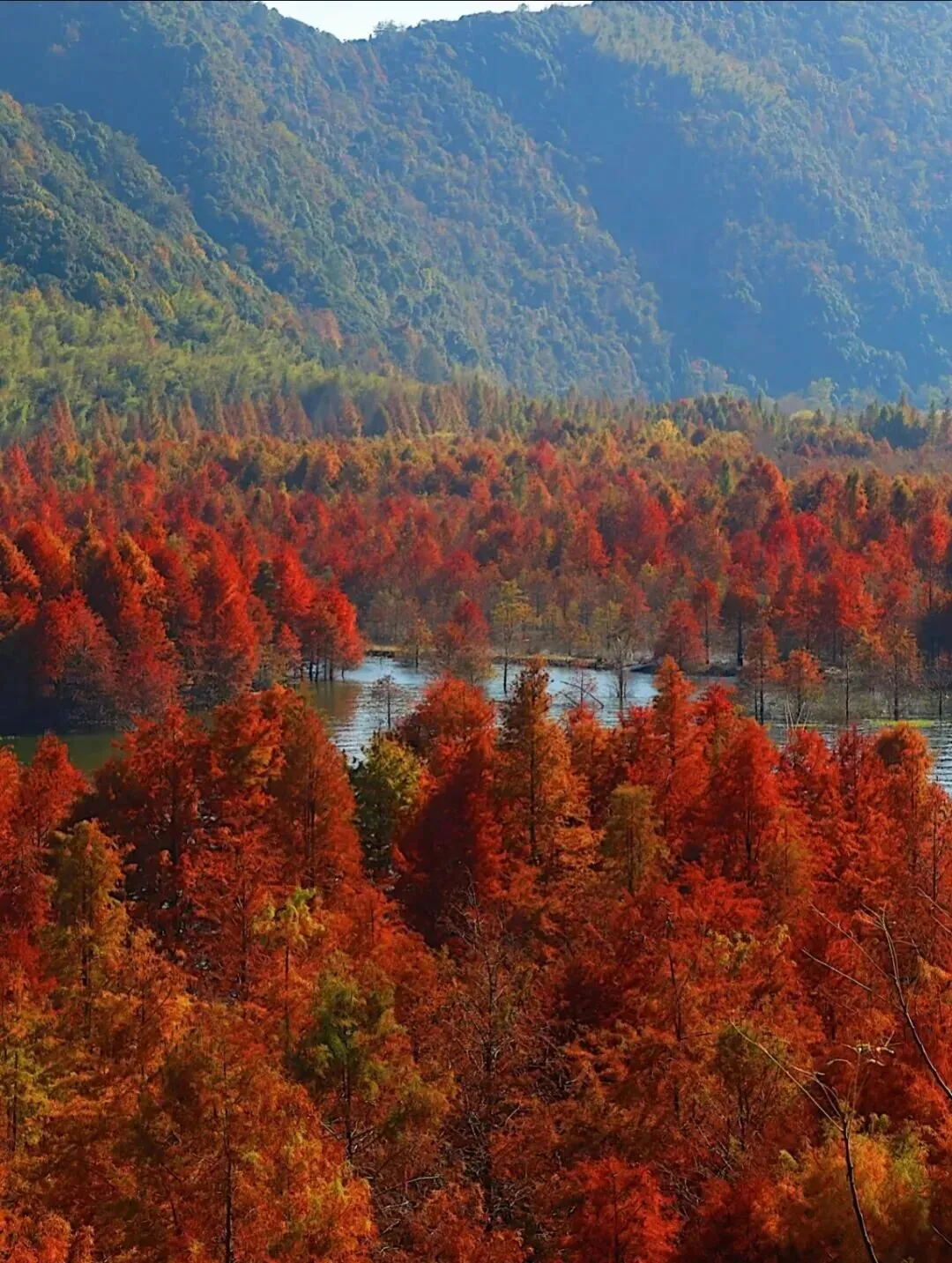 2ff1d0c17b2603cbf22fe2fab3d0d851-sz_290078