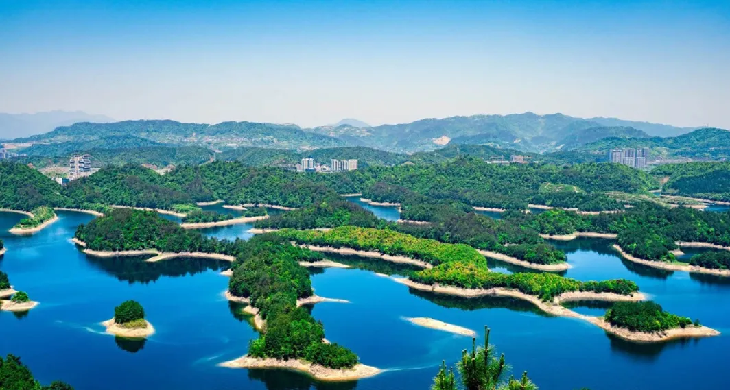 301aa6514316b90c0a33e872fb496493-sz_958068