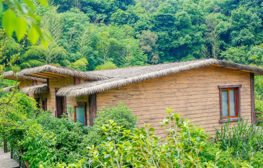 30376aee34ae0d6798e1647dbb6f5615-sz_1357376