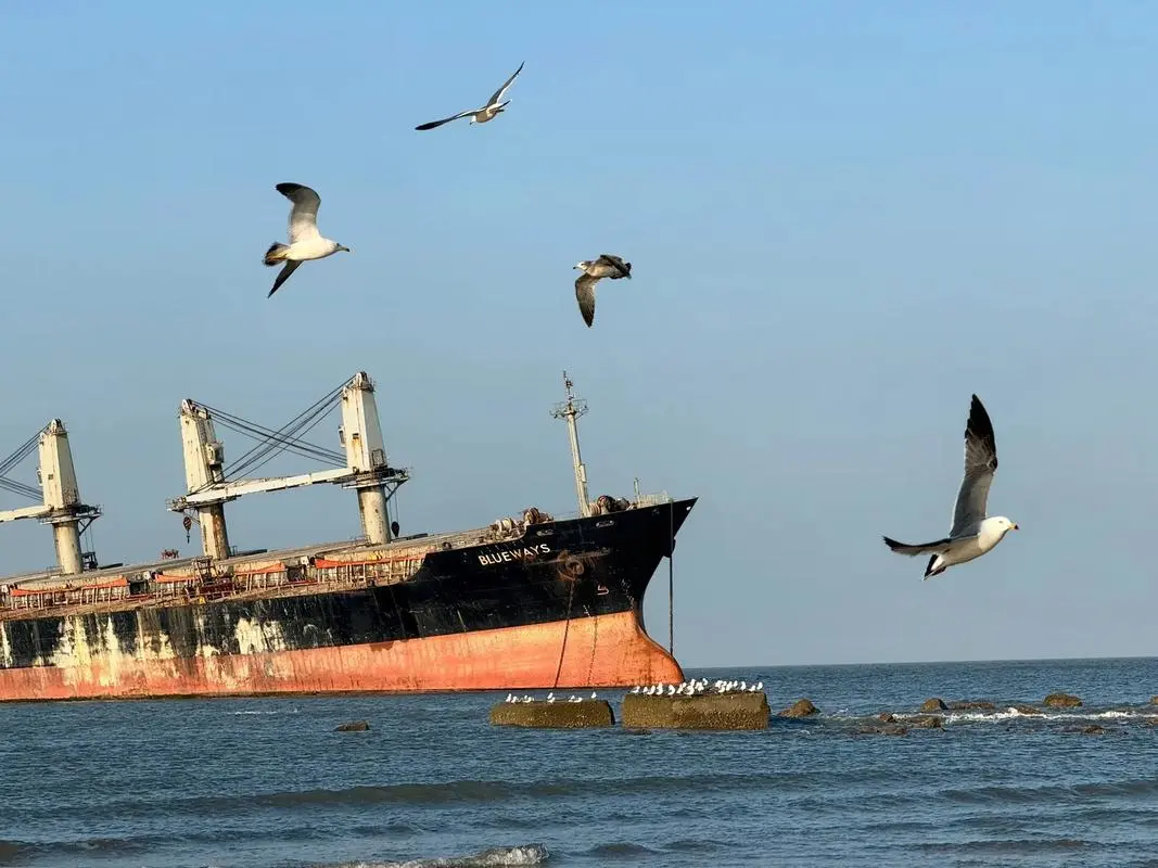 303c2155ec1d2e9e7cf4eda60f469f9e-sz_96064