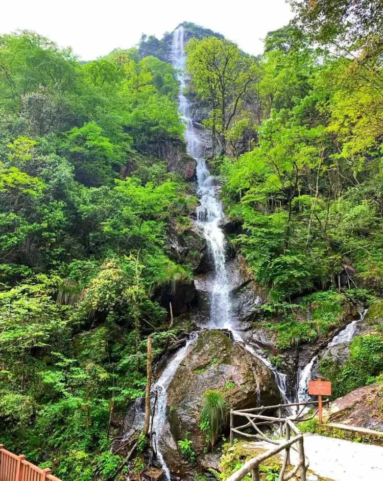 3045251767894050919cac681a1bc37c-sz_368765