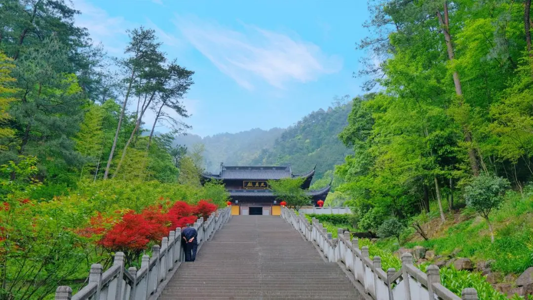 30a88fd276c8b202e7da899cc75d942b-sz_200939