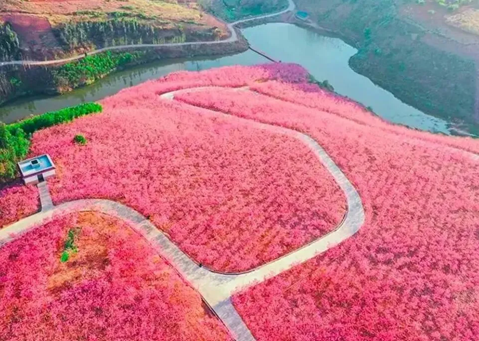 30acb30cd87f68609bf9979997f74027-sz_150772 30acb30cd87f68609bf9979997f74027-sz_150772