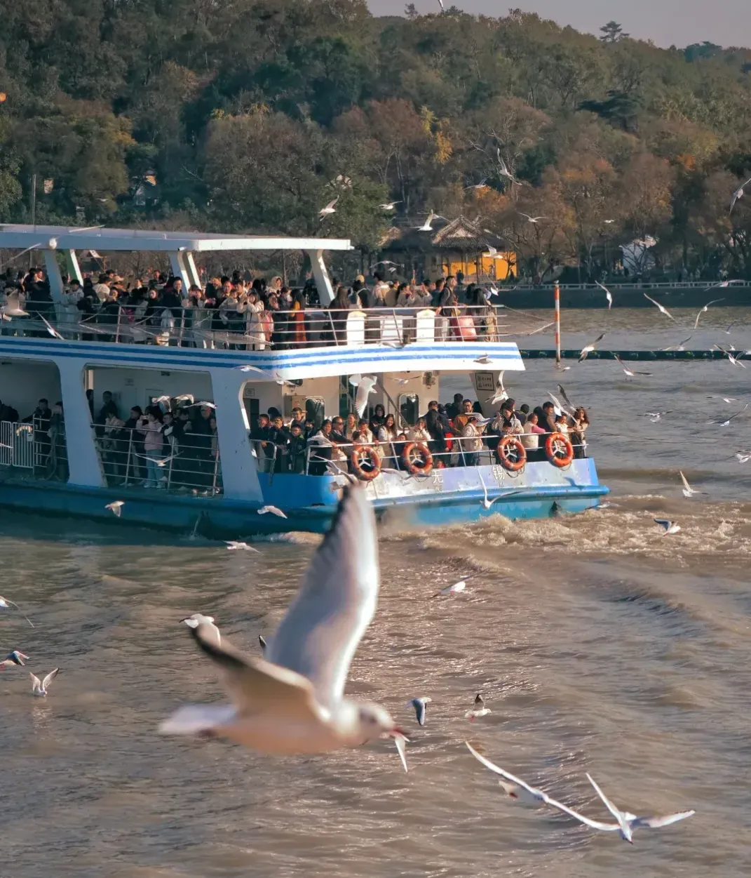 30d31124b4a039e24798b5e4ca8b0a07-sz_2351863-1