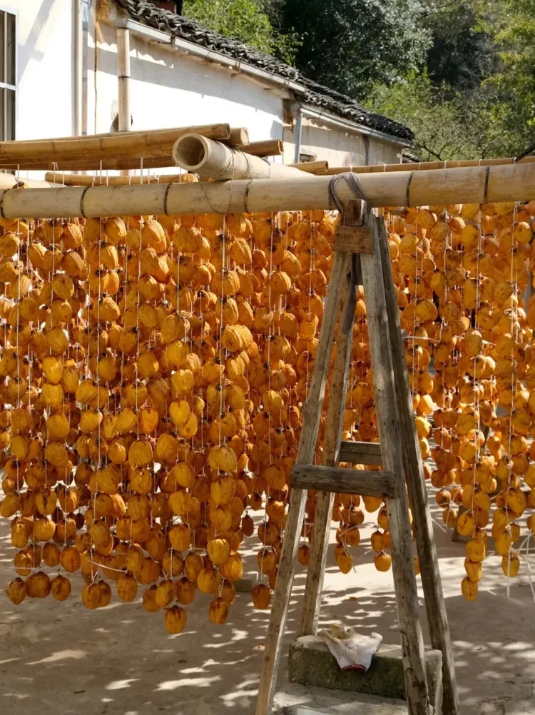 30eacc67eb800bdc064ac166004b81b5-sz_336948 30eacc67eb800bdc064ac166004b81b5-sz_336948