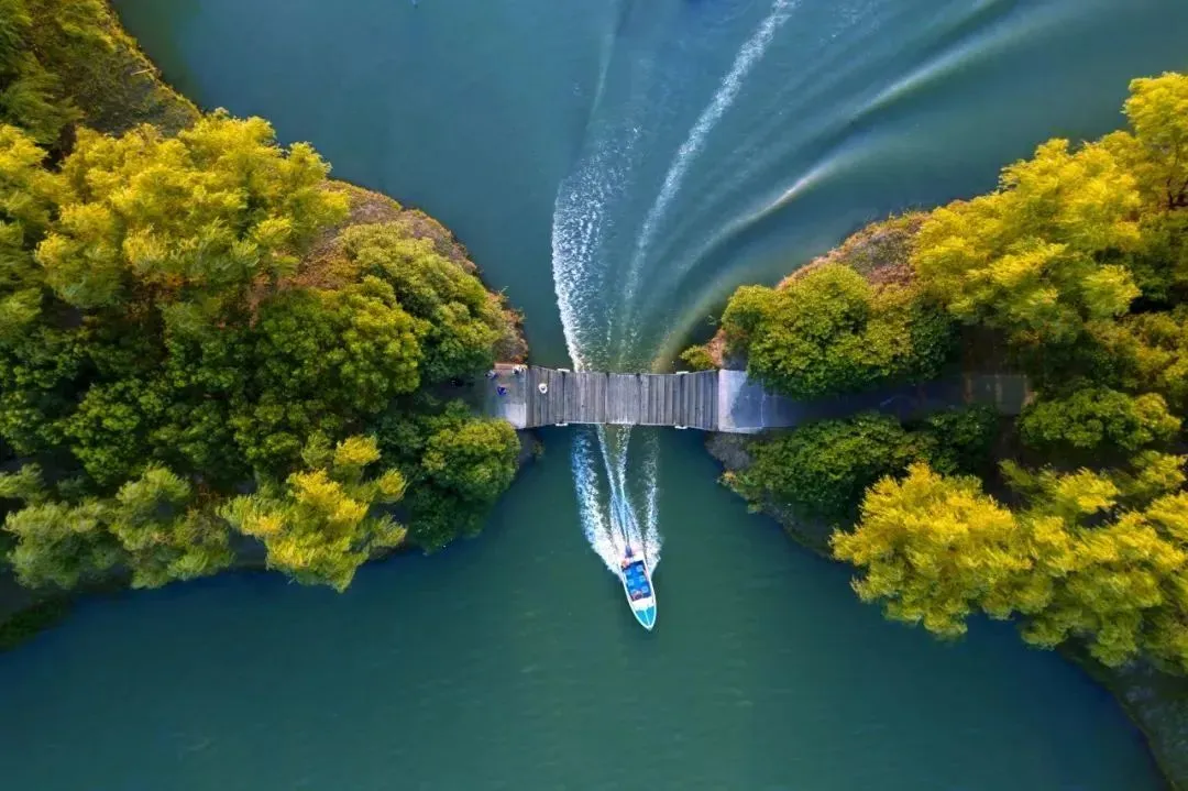 30ef2c7149ac418c82e484e00c5c300a-sz_120942