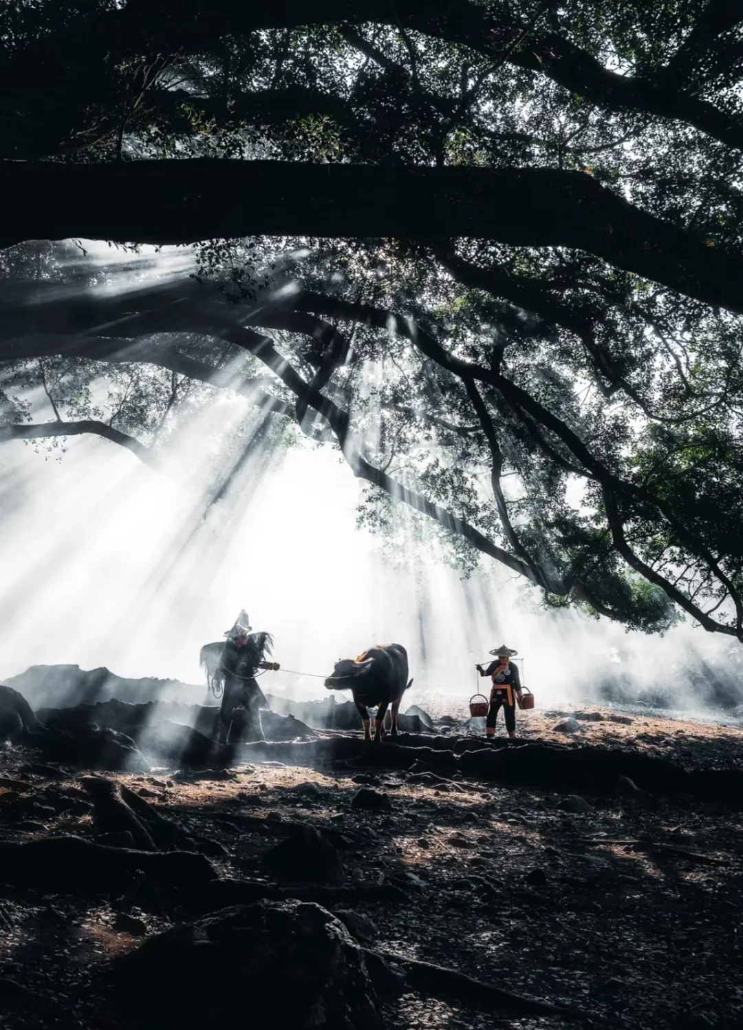 30fb8621038c72dc40418e0f2717b0f4-sz_1794394-1