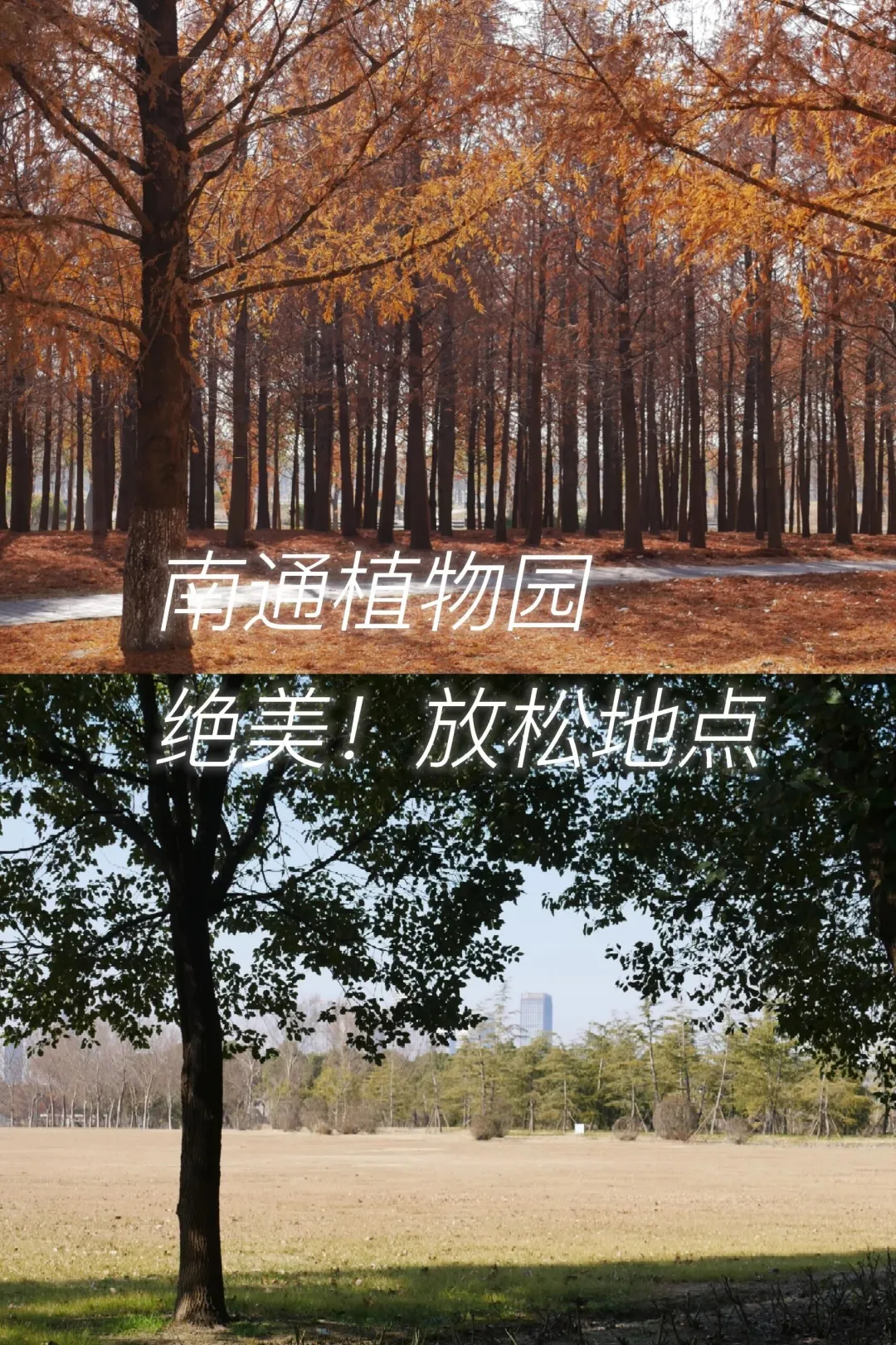 317b4d545ff7e0ac5a7c2a892083ed8a-sz_6654565