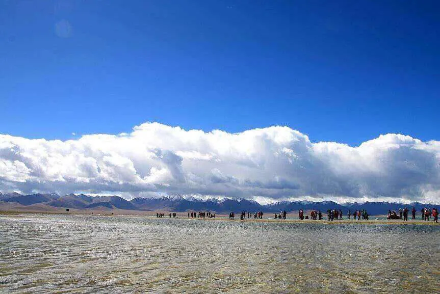 3189745727f38498c44baa6e81408d3c-sz_88006