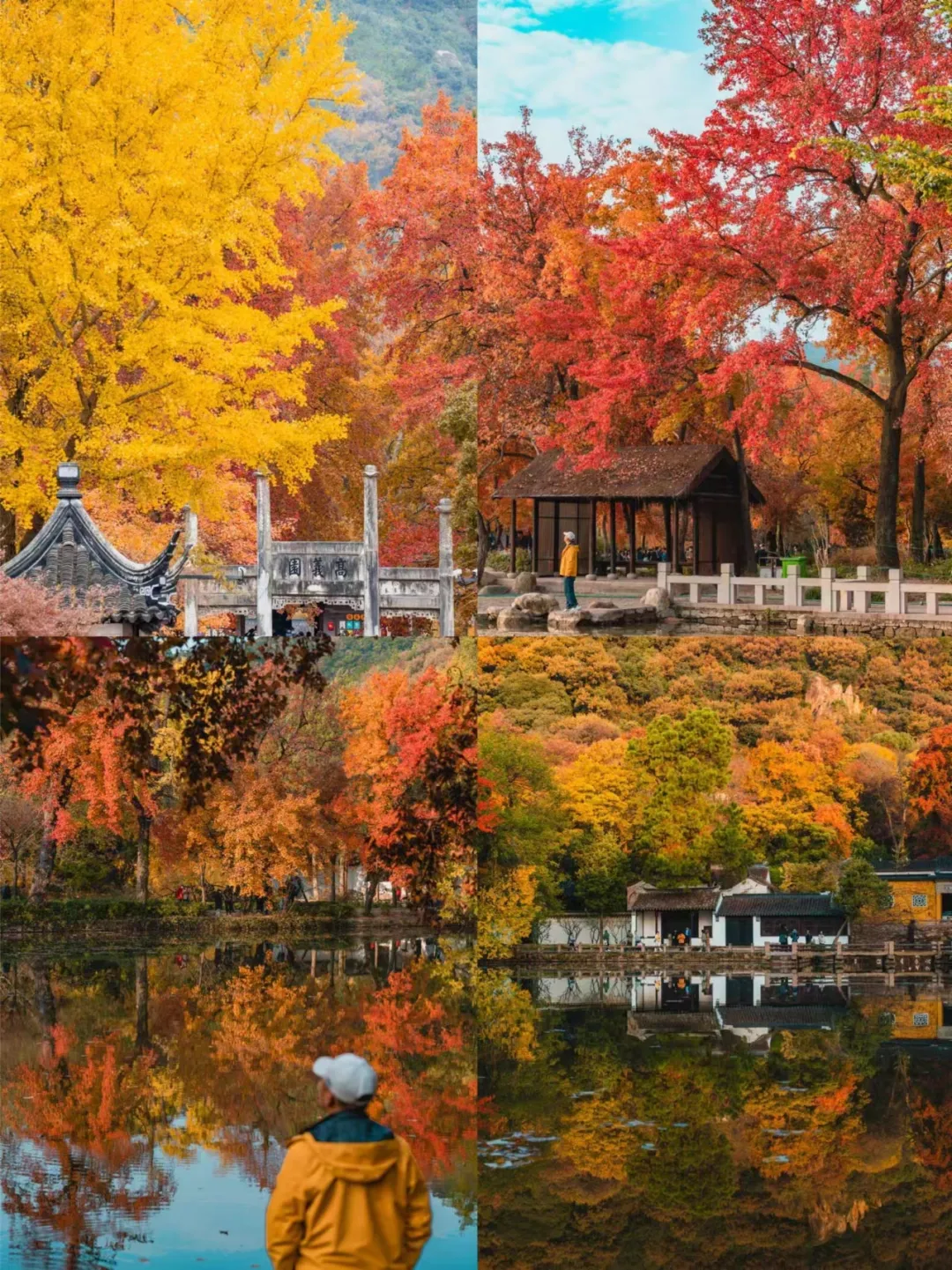 31b66ce4e7783b79359f01d7f3644892-sz_1991450-1