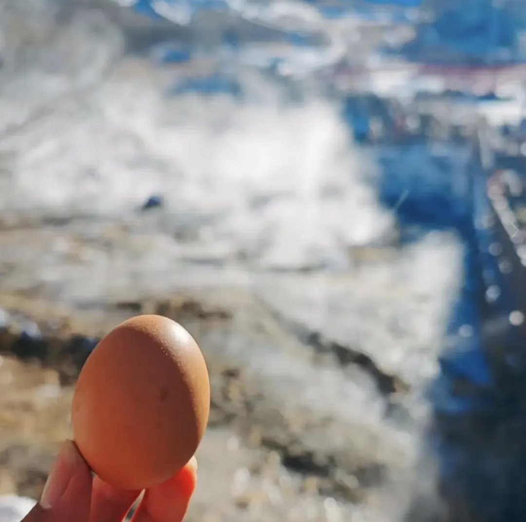 31cf6283efe05243713cad1c64e0854f-sz_1318191 31cf6283efe05243713cad1c64e0854f-sz_1318191