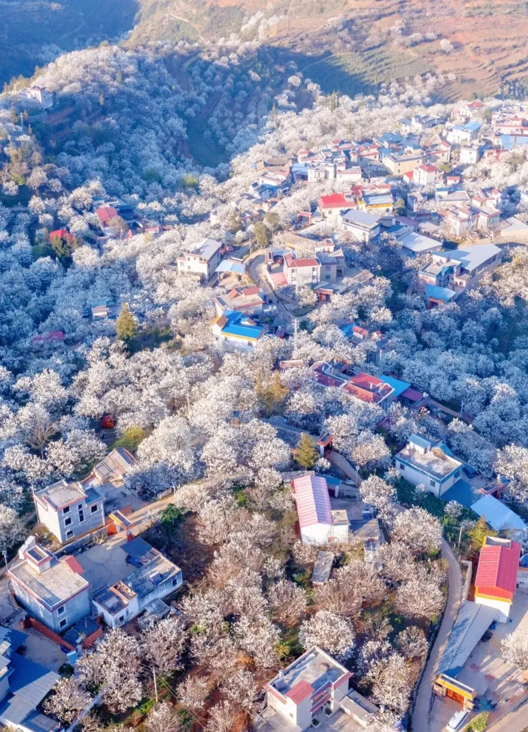 31d49beea7460f6e4a969a127a7bb0b1-sz_408082 31d49beea7460f6e4a969a127a7bb0b1-sz_408082