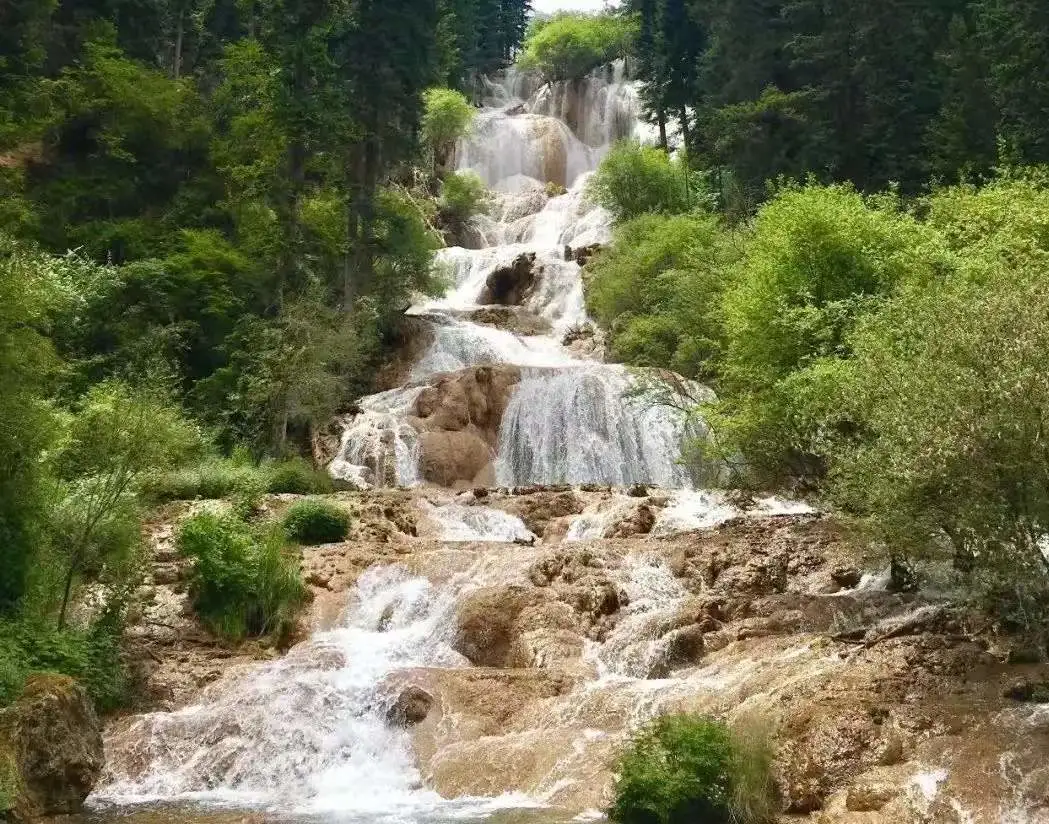 31f345b9ef212377485a5d17cc8e4163-sz_190143-1 31f345b9ef212377485a5d17cc8e4163-sz_190143-1