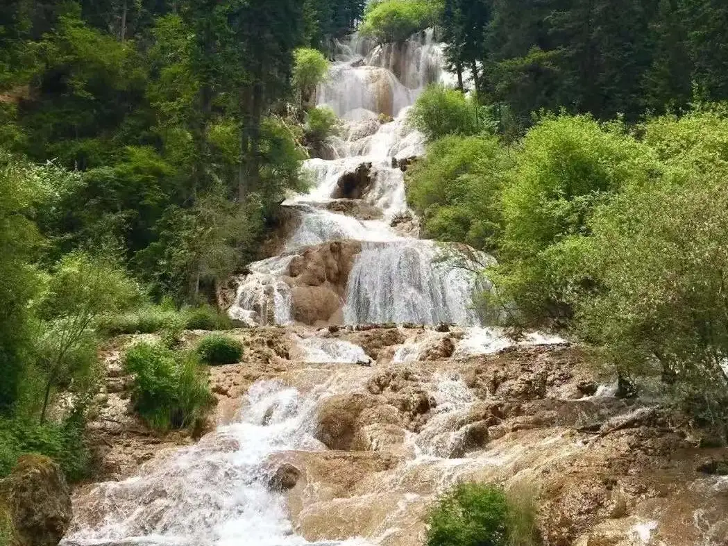 31f345b9ef212377485a5d17cc8e4163-sz_190143 31f345b9ef212377485a5d17cc8e4163-sz_190143