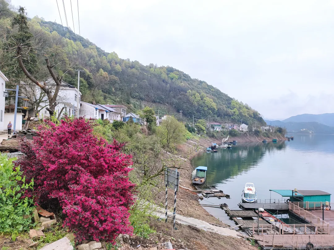 320762e215819c4165d6803c1c7ae7c5-sz_7006247 320762e215819c4165d6803c1c7ae7c5-sz_7006247