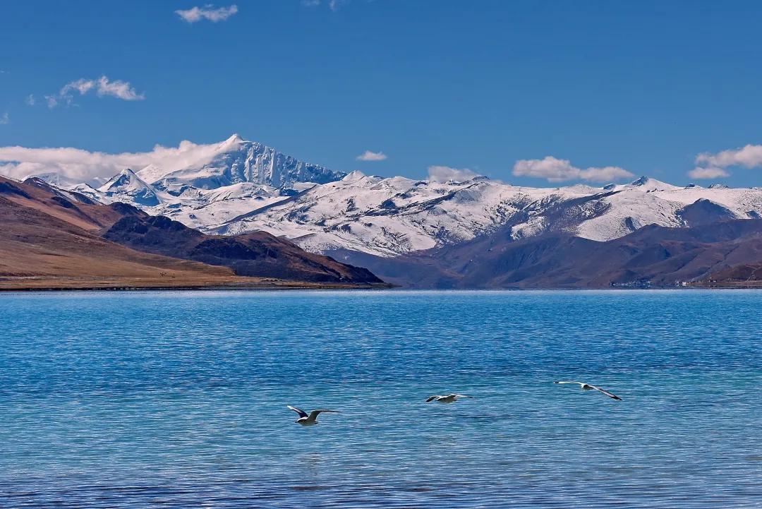 321c323b8096d67de5e3cf3e19273e59-sz_2996726