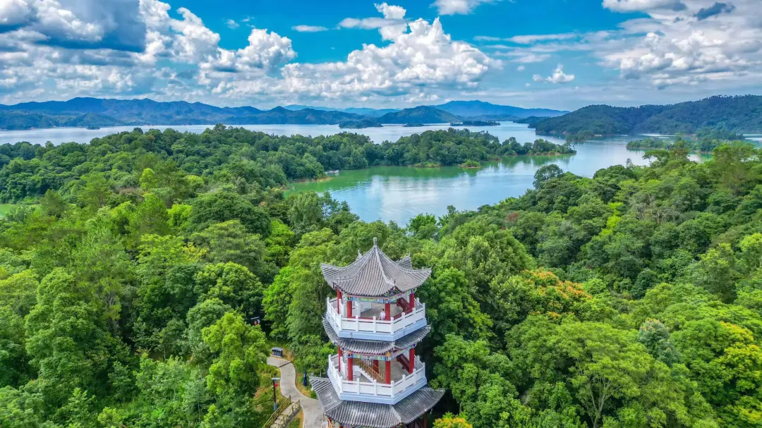 324858b68ef60cb73ab4d5dd97cd61bc-sz_672317