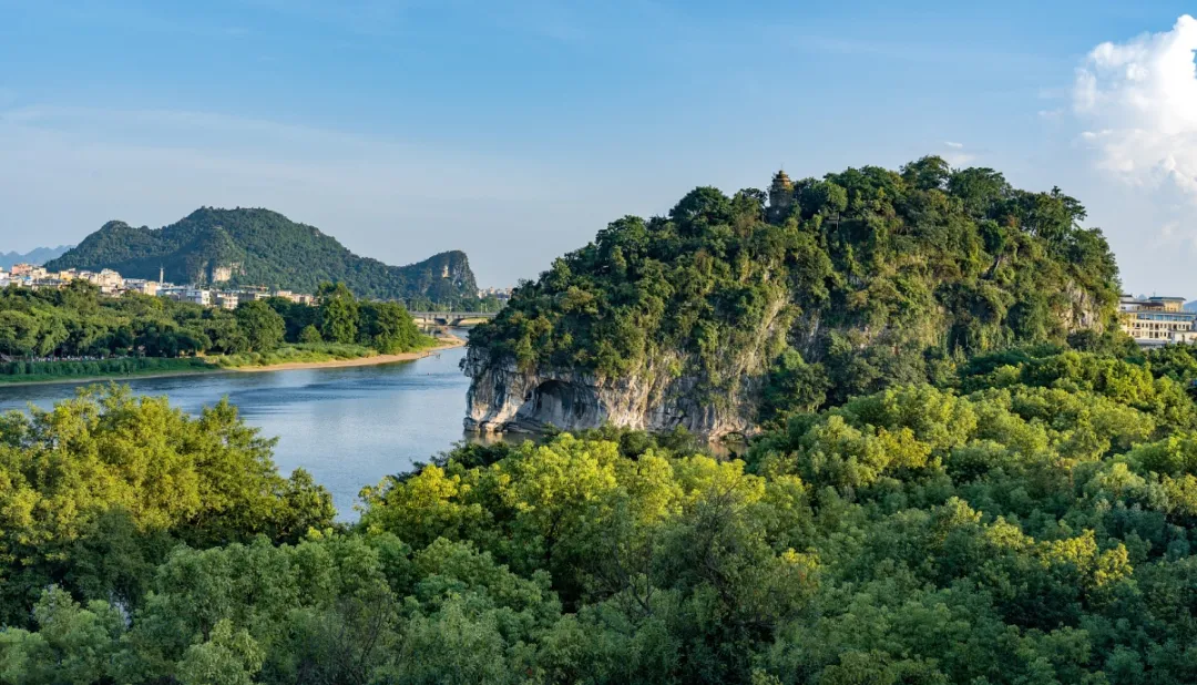 32ac6d2ac1f63ab3f58b2d9999fed9d9-sz_451034