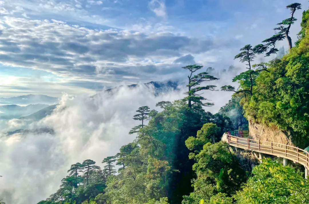 32ef9fa0c31c5dba1374850f6d585d10-sz_333481