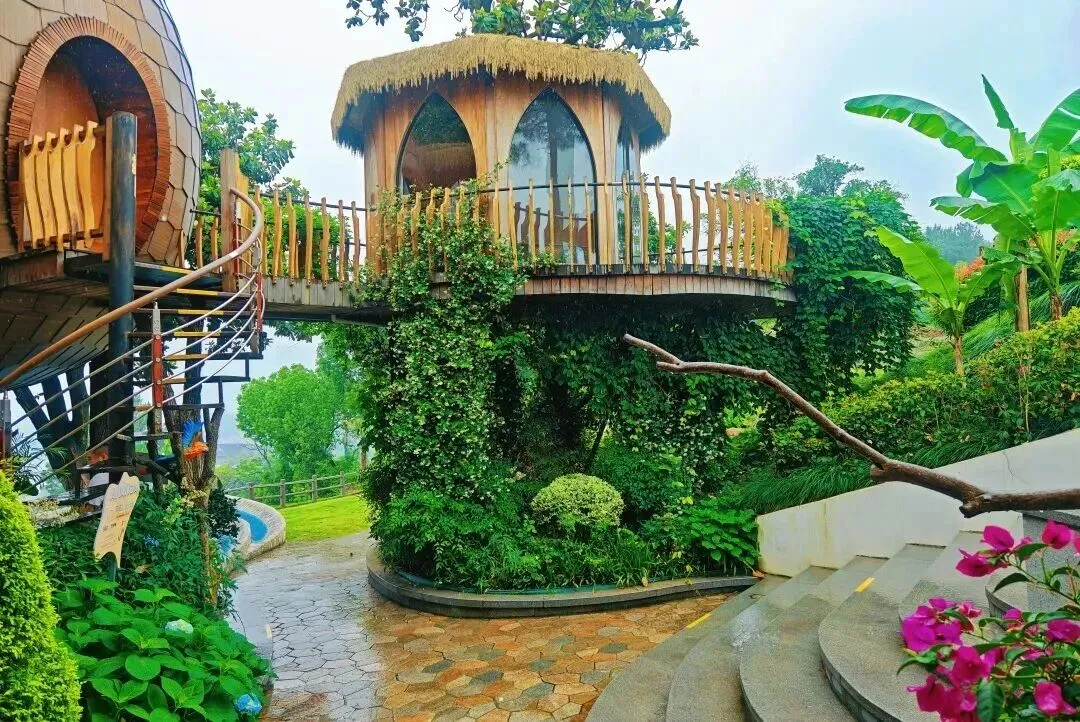 3301a3bfd9232ce9d3b754a85924c1de-sz_243752