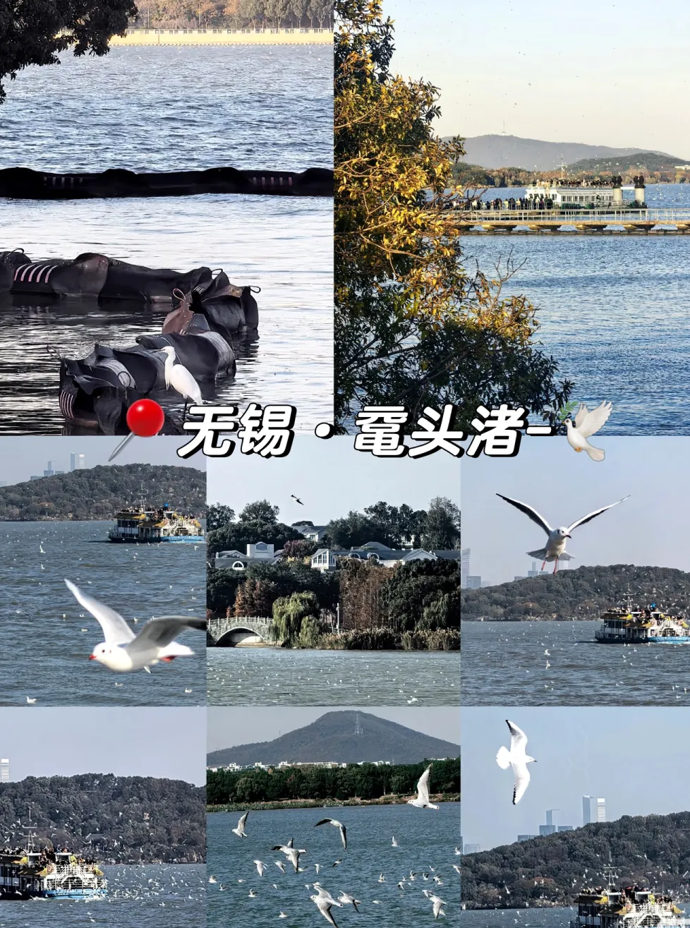 334e25320d9f8c28c5b92756112a909f-sz_2136023-1