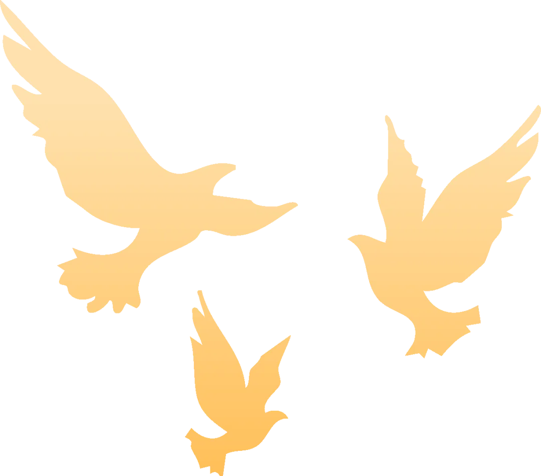 3374cb1815c9fd4b8f6d9a555a85cd85-sz_19398-1 3374cb1815c9fd4b8f6d9a555a85cd85-sz_19398-1