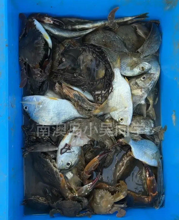 339de1ce2df098782c5d6df6478331ff-sz_1461480