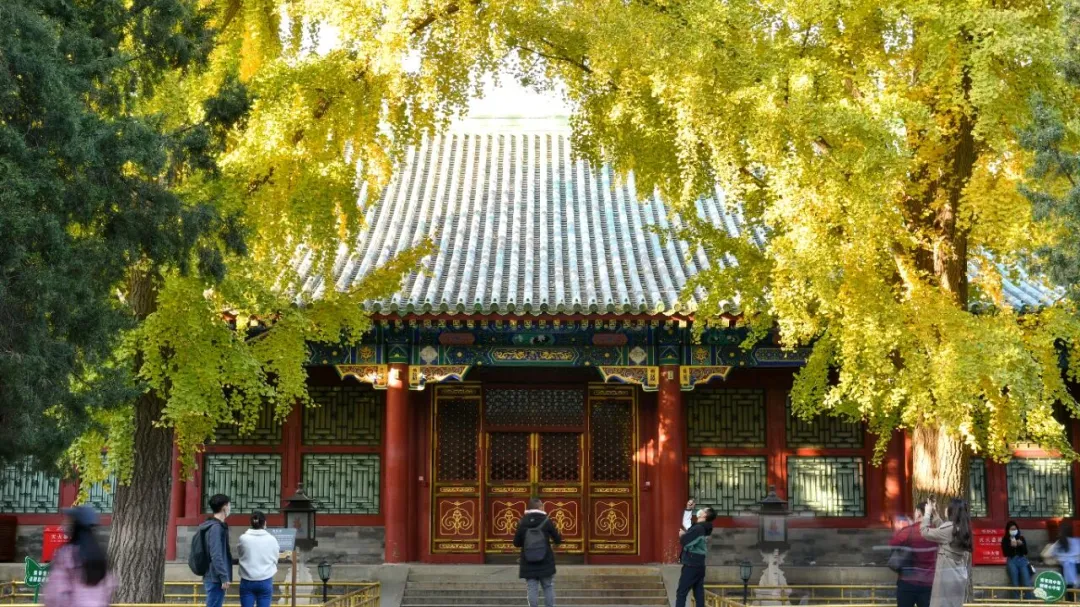 33a5dc5c91e076f7b75ee31cd6822d37-sz_346390 33a5dc5c91e076f7b75ee31cd6822d37-sz_346390