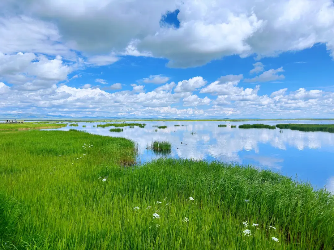 33cb2d6bbf4caa06055c04a3836c5ded-sz_787223 33cb2d6bbf4caa06055c04a3836c5ded-sz_787223