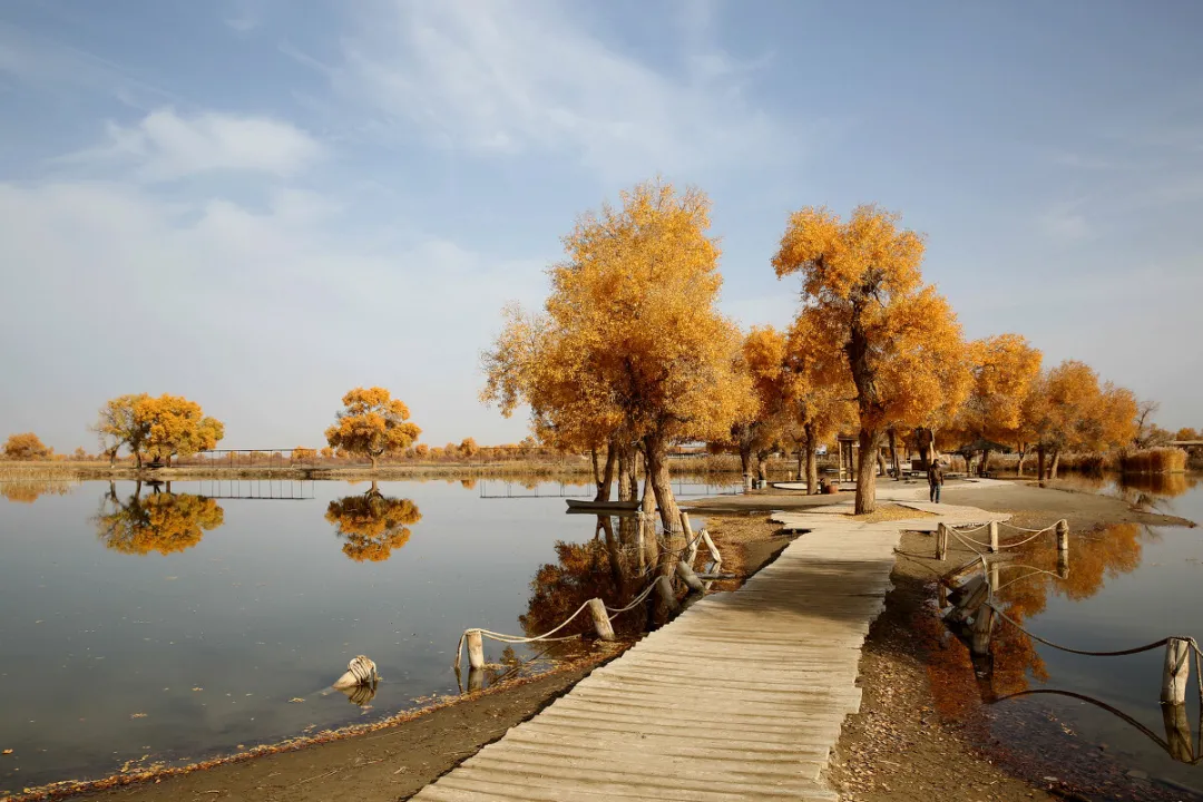 33d6ca7172bd08e2f046f08d8ba71c6a-sz_335922