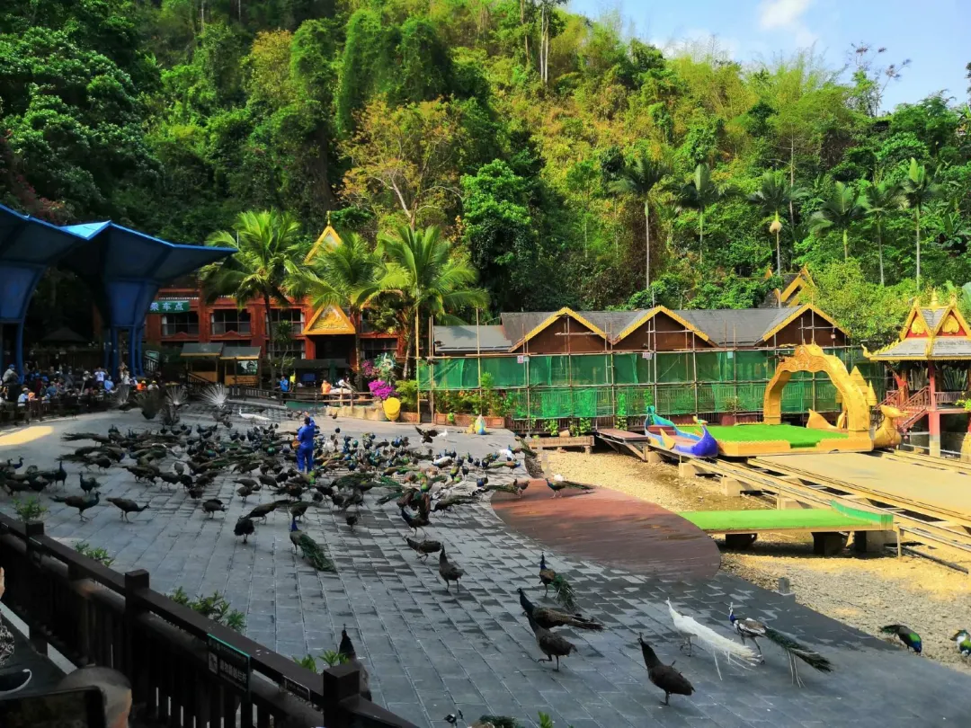 34230edf0b3683134bd6ebbff9ae2604-sz_499910 34230edf0b3683134bd6ebbff9ae2604-sz_499910