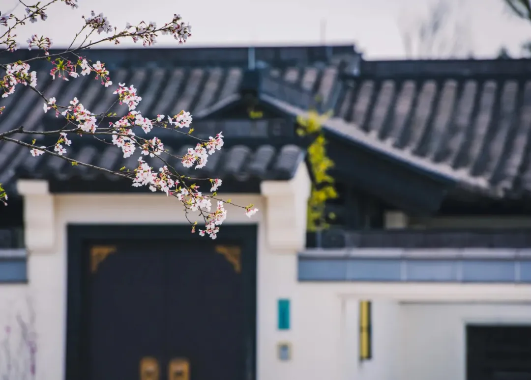 343a9ea1e4a75625365a39232c8dbc0e-sz_358869