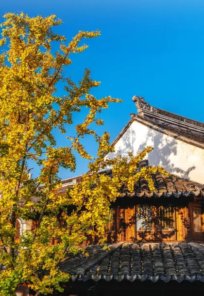 34465104f9520cb70010616a5051fdfa-sz_98298