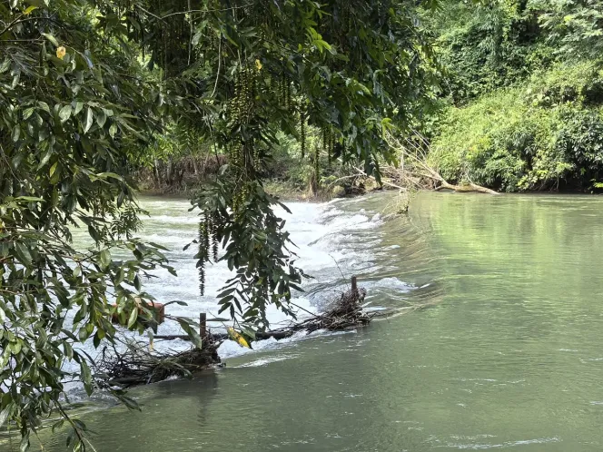 34516c6ef7b140e1a04c075a47e13592-sz_5009409