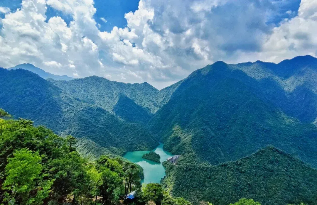 345402ee0f5adfbd4db561c9a6544a56-sz_1312275