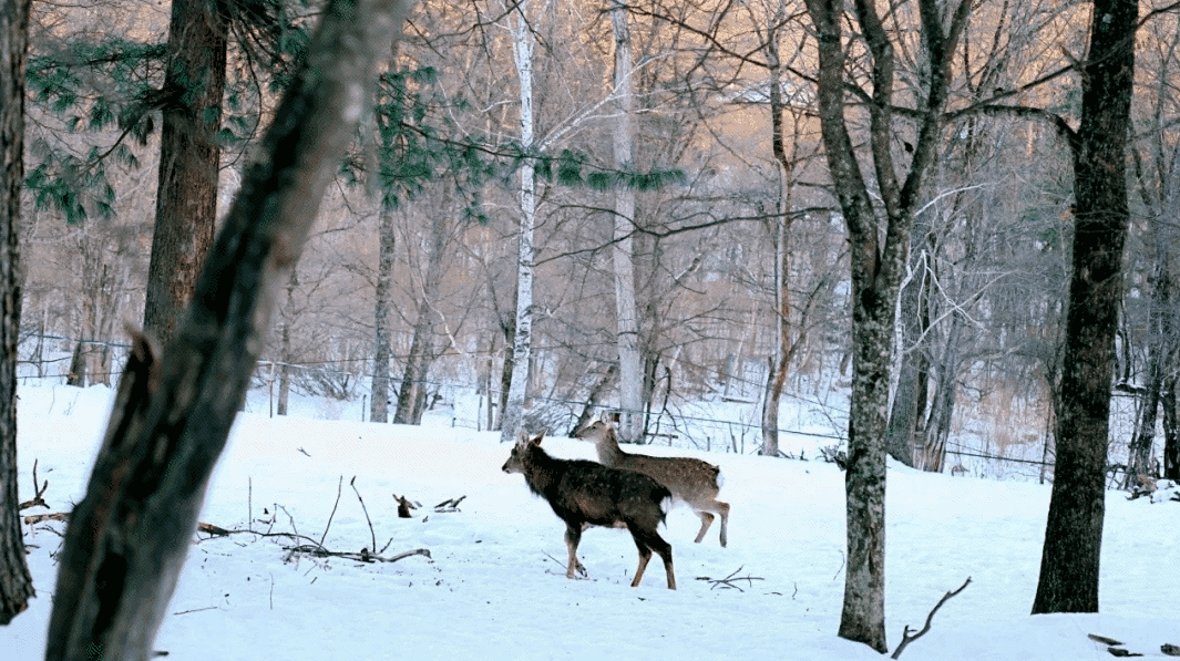 346974dffb643c25e12c069ba1967bde-sz_1683309-1 346974dffb643c25e12c069ba1967bde-sz_1683309-1