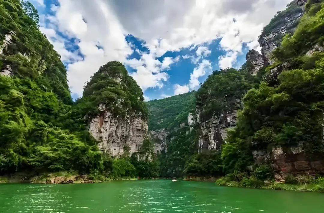 347a595cab0f90c00a0ea83c1e40061f-sz_1423475