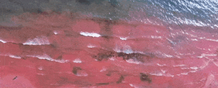 3484784c0e3a75b7855fb189efd48066-sz_1174730 3484784c0e3a75b7855fb189efd48066-sz_1174730