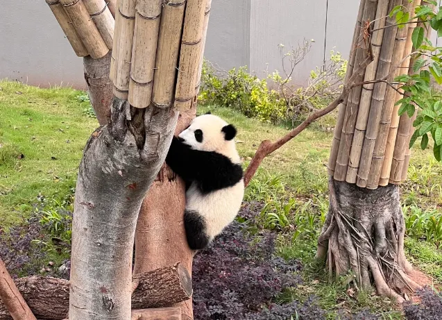 34aa770e616842f715fae7991892a7a5-sz_1151051 34aa770e616842f715fae7991892a7a5-sz_1151051