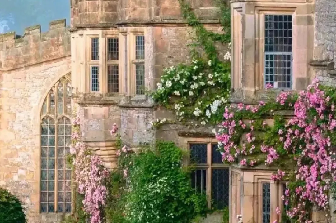 34cb6e03ba3b33d03a003256bd218323-sz_434223