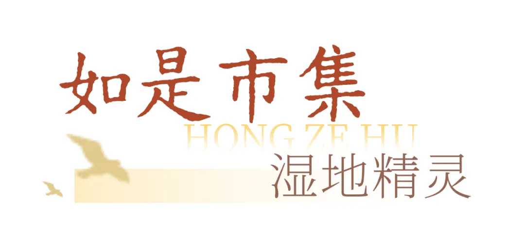 34faa5b5eed7bc32ca5d03d9a70e5b47-sz_92854