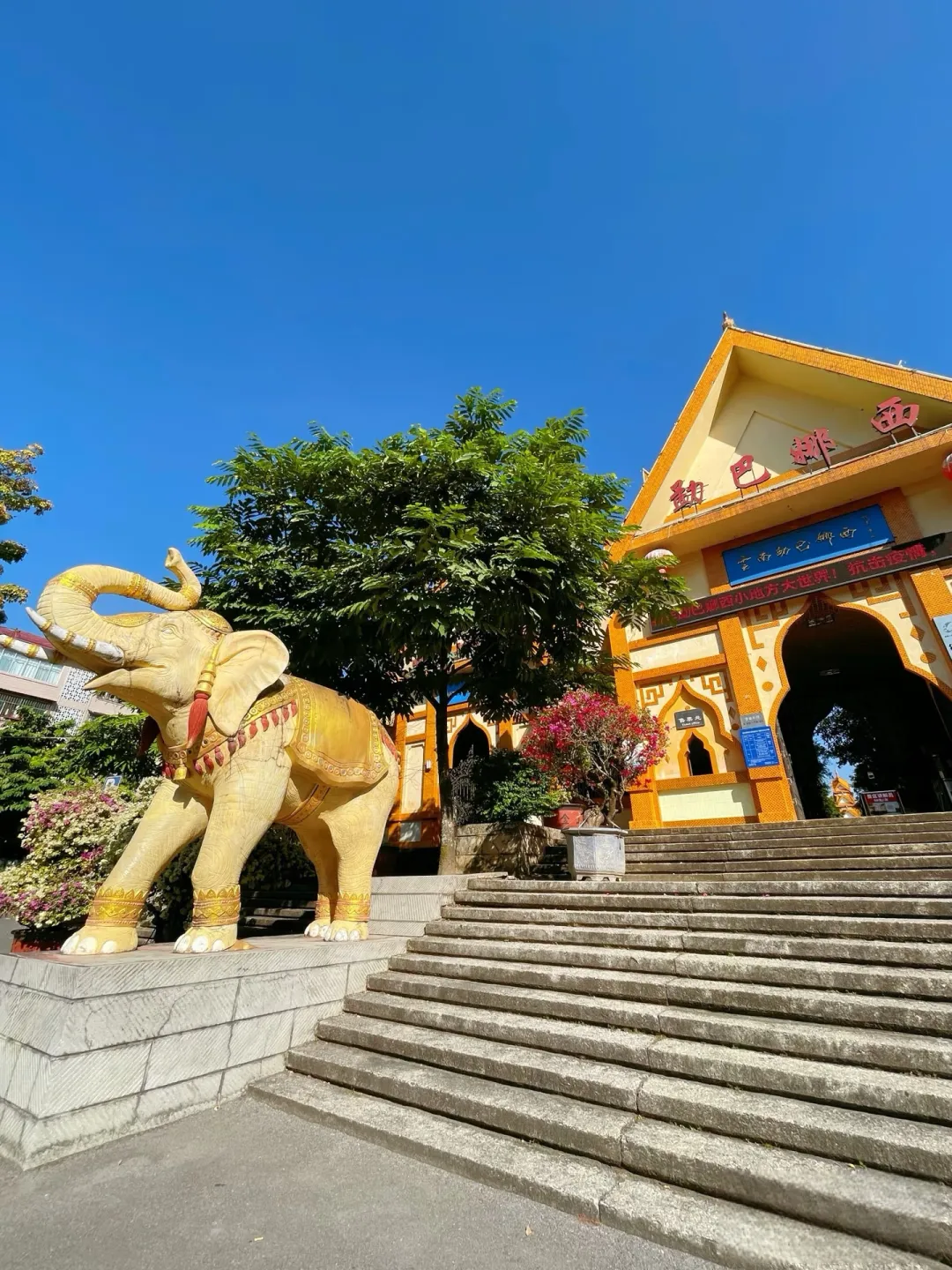 35058f25dea98846f530f8dccf5f77d5-sz_2412892