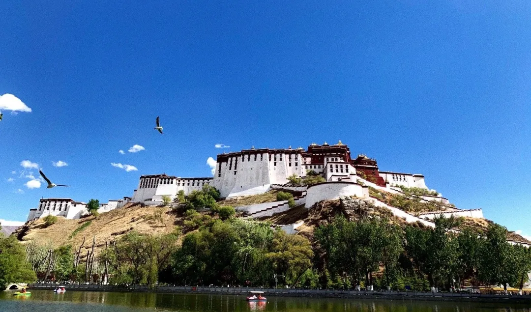 357c3ff9f87cf0186a7347dbbef8c035-sz_1141626