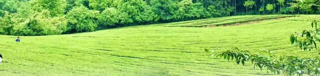 358993995a1b7d65193b1734e34ae37d-sz_458718