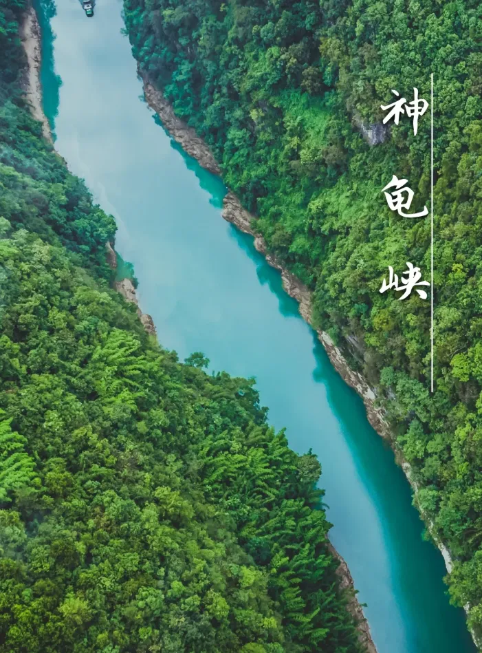 3597f3bb210ce926a98747f20b95a43e-sz_1188144 3597f3bb210ce926a98747f20b95a43e-sz_1188144