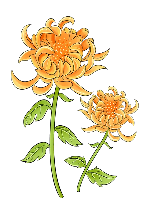 35c6028e3d7369953d2d57b7a325fd01_sz-234764-1